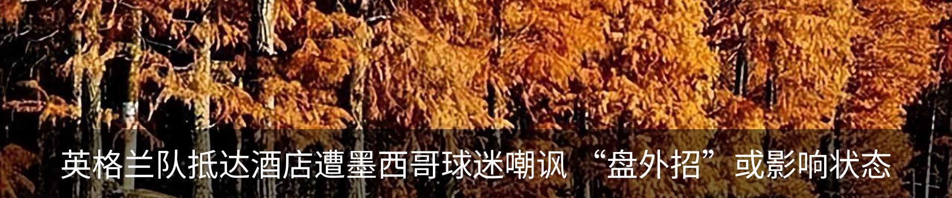 行业资讯